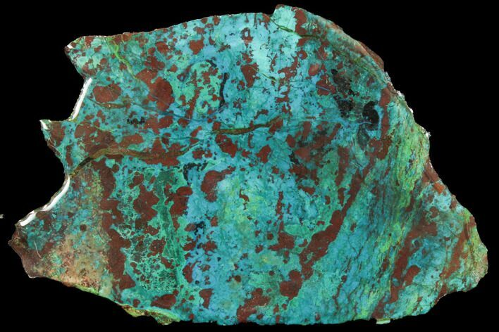 Chrysocolla & Malachite Slab - Bagdad Mine, Arizona #114261